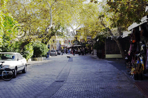 Rhodes Old Town vista